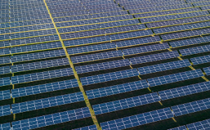 Sustainability Focus: Building a Greener Future for the DRC
